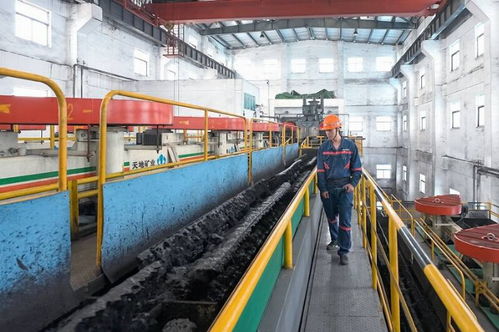 山东能源鲁西煤矿创新举措促发展 经营管理见成效