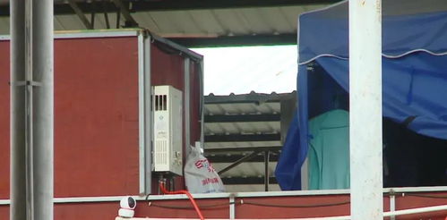 广西水产批发市场“三合一”隐患凸显 金属及金属矿批发业态混杂加剧安全风险