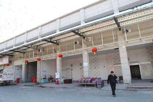 华南农产品批发市场春节销售创佳绩，金属及金属矿批发业务亮点频现